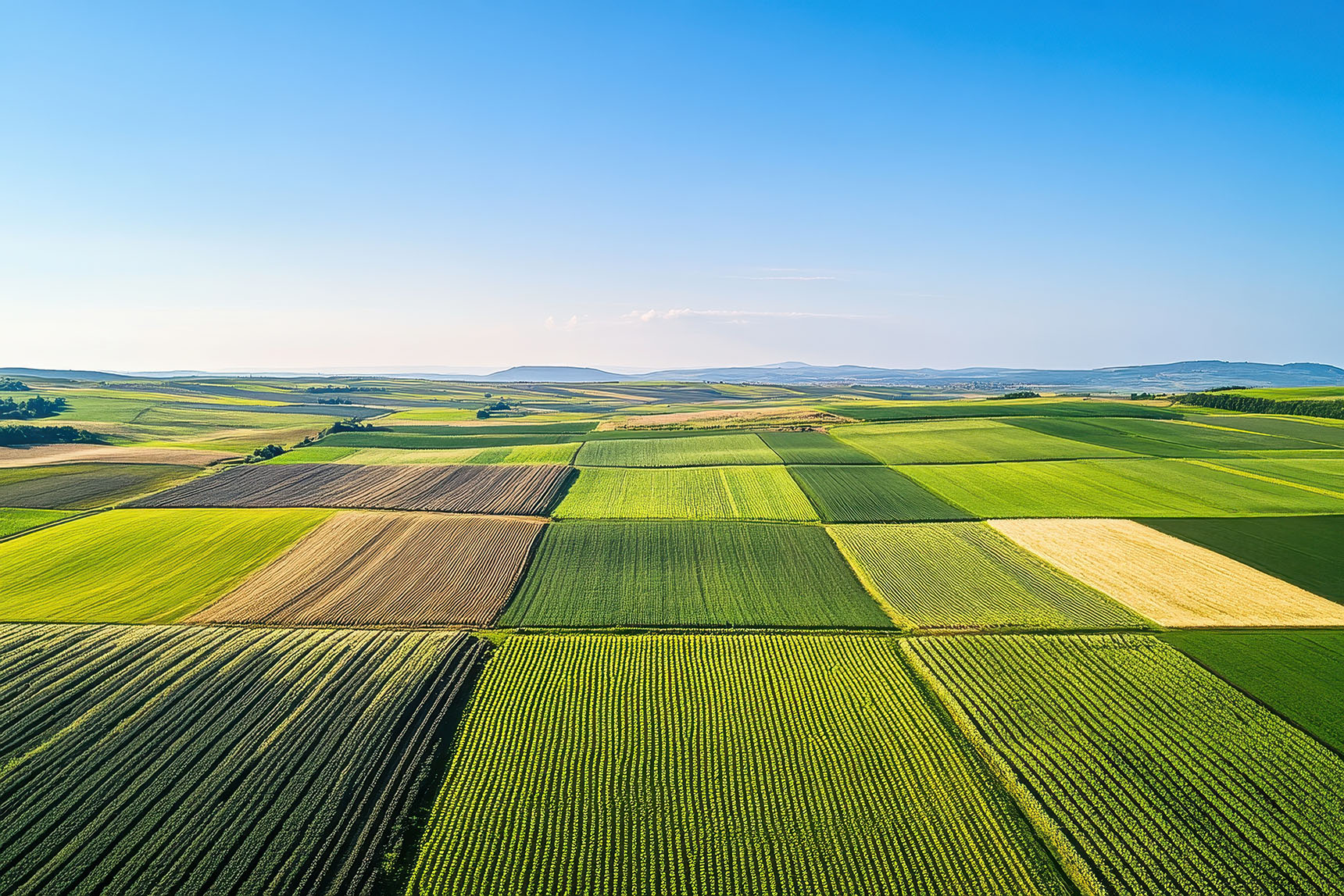 Agriculture